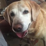 Profile Picture of Chip Huffman (@chuffref) on Instagram