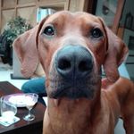 Profile Picture of Jenny Clausen (@jennyclausen2012) on Instagram