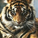 Profile Picture of Michela Cherubin (@michelacherubin) on Instagram