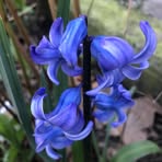 Profile Picture of Brandon Ralph (@Brandon-Ralph) on Facebook