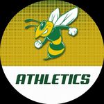 Profile Picture of Savannah Country Day Athletics #SWARM (@scds_athletics) on Instagram