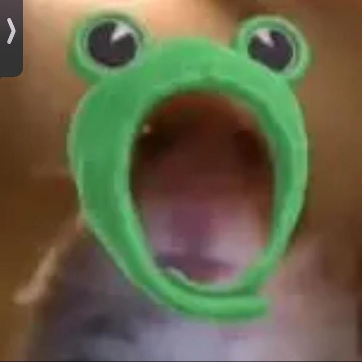 Profile Picture of Gacher clud (@minnie88xo) on Tiktok