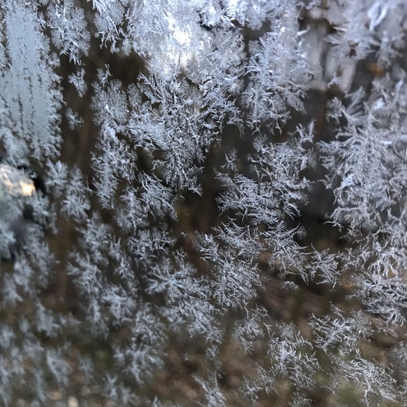 Profile Picture of Grace Pfirman (@gracepfirman) on Poshmark