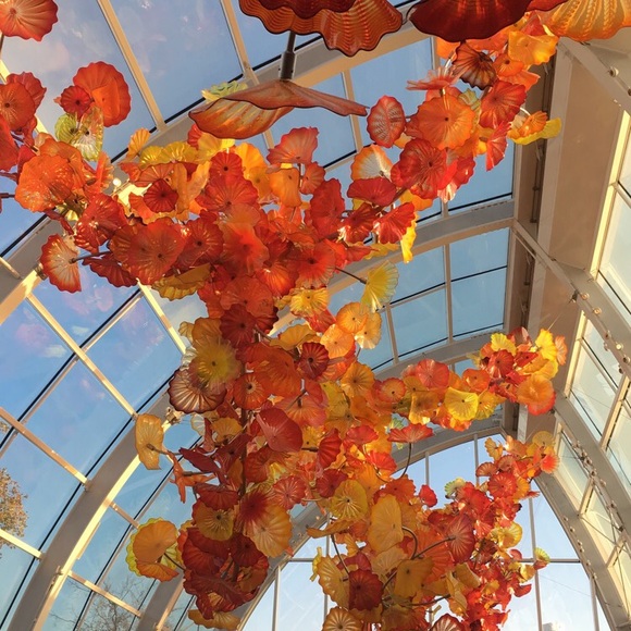 Profile Picture of Gustavo Aguirre (@shag28) on Poshmark