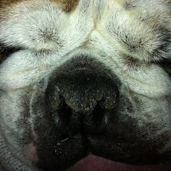 Profile Picture of Jimmy Yiu (@jayh1228) on Poshmark