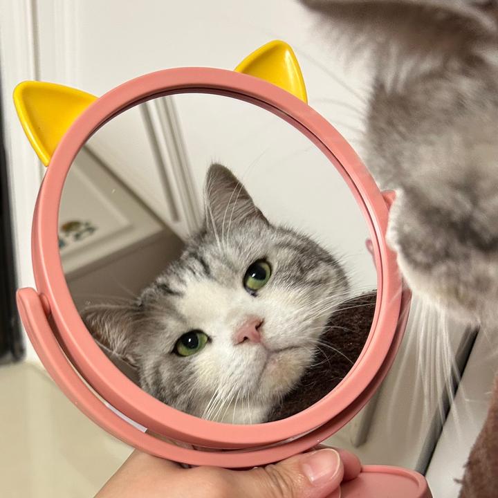 Profile Picture of Gary Jan (@@garyjan) on Tiktok