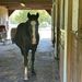 Profile Picture of Chandi Davidson (@cbd8130) on Pinterest