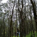 Profile Picture of Matthew 7:7 (@_vigo_suki_) on Instagram