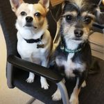 Profile Picture of Anette Hanson (@anettehanson) on Instagram