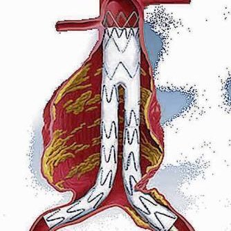 Profile Picture of Dr Cesar Mendivil (@MendivilDr) on Twitter