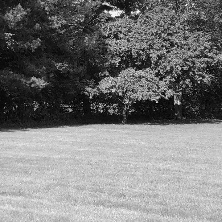 Profile Picture of jaclyn (@@jaclynpet) on Tiktok