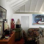 Profile Picture of Brutus bill (@brutus_bill) on Instagram