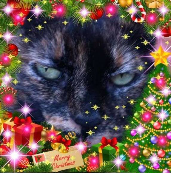 Profile Picture of Johnene Hallock (@hjohnene) on Poshmark