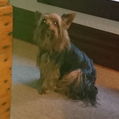 Profile Picture of Matthew Arnette (@matthew_arnette) on Twitter