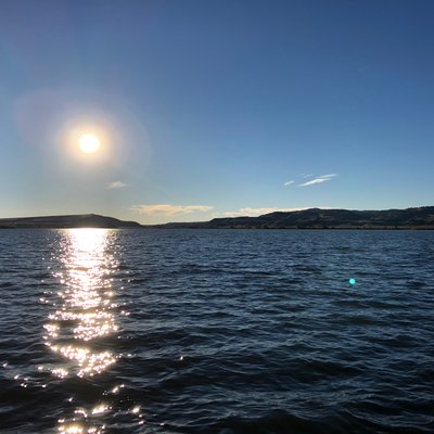 Profile Picture of Alice Travis (@AliceTr55329831) on Twitter