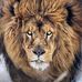 Profile Picture of James Simon (@james.simon.718) on Facebook