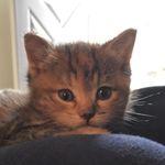 Profile Picture of heather roberts (@heathrr13) on Instagram