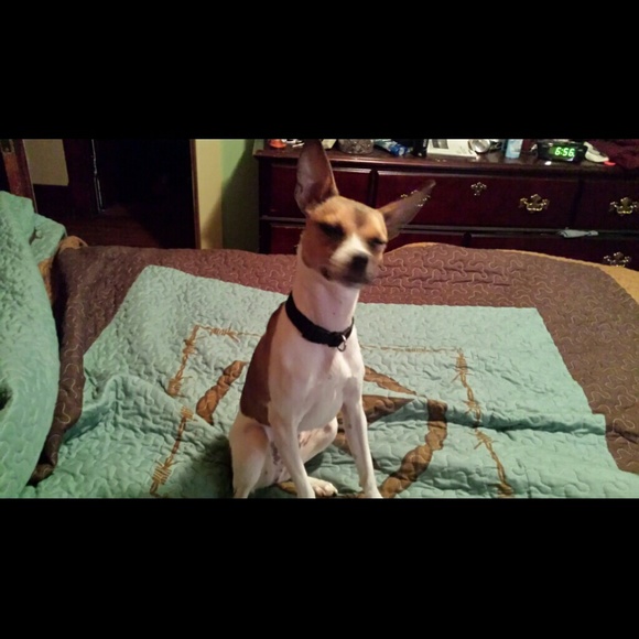 Profile Picture of Brandy Tharp (@btharp1972) on Poshmark