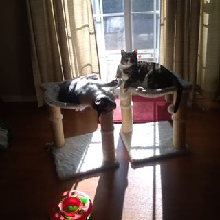 Profile Picture of Deborah Sasson (@deborah.sasson.338) on Facebook