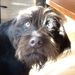 Profile Picture of Mark Hildebrandt (@tsgmark) on Pinterest