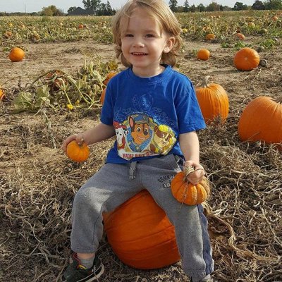 Profile Picture of Lisa Day (@LisaDay1965) on Twitter