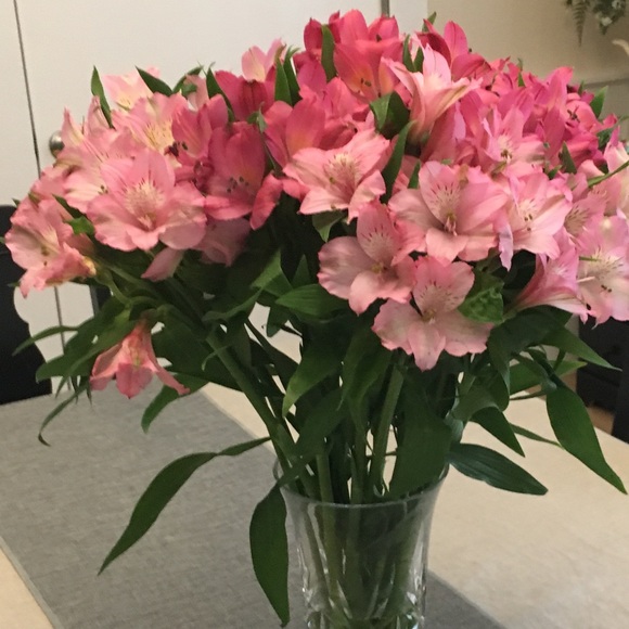 Barbara Buschur - Poshmark Profile Picture of Barbara Buschur (@bannb8691) on Poshmark