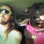 Profile Picture of Brian Wizardstorm Mewes (@brianmewes) on Instagram