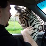 Profile Picture of Scott Jacobs (@scott.dodier1) on Instagram