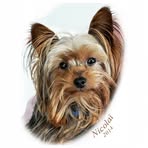 Profile Picture of Jerold P Isner (@Jerold-P-Isner) on Facebook