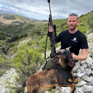 Profile Picture of Jo Paora Johansen (@jo_johansen) on Instagram