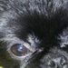 Profile Picture of Rhonda Stutts (@nateya7) on Pinterest