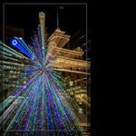 ralph_robertson - Instagram Profile Picture of ralph_robertson (@ralph_robertson) on Instagram