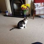 Profile Picture of Noelle-Anne Craig (@noelleannecraig) on Instagram