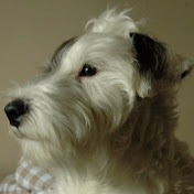 Profile Picture of Joanna Tang (@joannatang9027) on Youtube