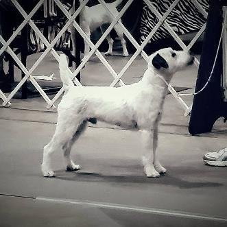 Profile Picture of Joan Lambert (@prtfriend1) on Twitter