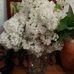 Profile Picture of Angelo Scalisi (@angelo.scalisi.5011) on Facebook