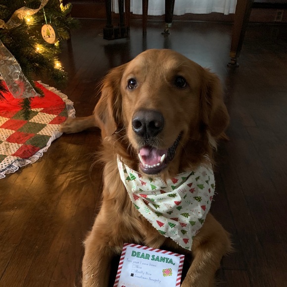 Samantha Vandenberg - Poshmark Profile Picture of Samantha Vandenberg (@samanthajo118) on Poshmark