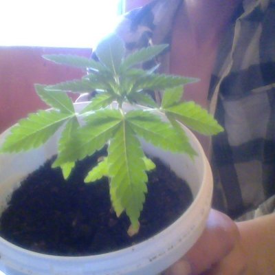 Profile Picture of Adam Waszak (@adamo3007) on Twitter