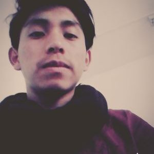 Profile Picture of alexander esteban (@aestebancosar) on Twitter