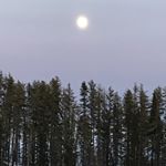 Profile Picture of Sylvain Savard (@sphereconseil) on Instagram