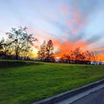 Profile Picture of Kristie (@hoppermiller) on Instagram