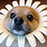 Profile Picture of Gary Chan (@siu_kong) on Flickr