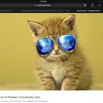 Profile Picture of Zachary Daines (@daineszachary) on Instagram