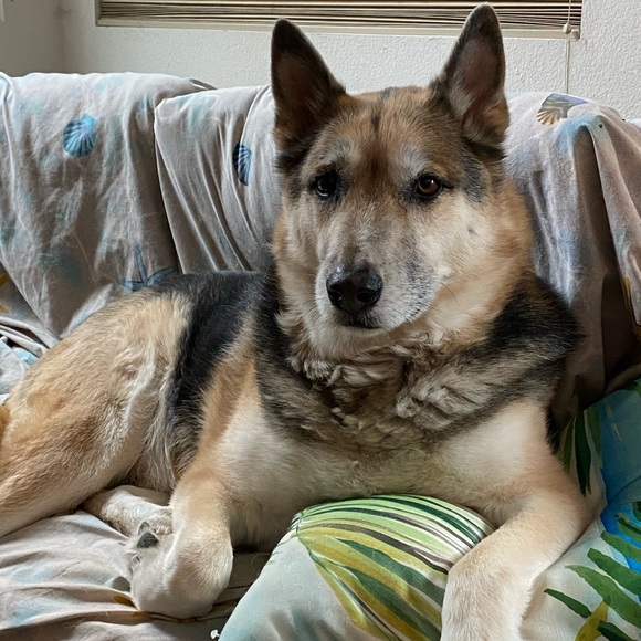 Profile Picture of Lesly Easson (@leslyeasson) on Poshmark