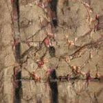 Profile Picture of Toby Grabowski (@toby.grabowski) on Instagram