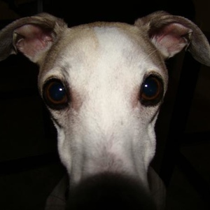 Profile Picture of Benjamin Swineford (@312190143) on Myspace