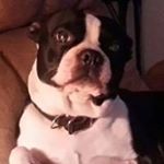 Profile Picture of Pamela Adkins (@pammisue54) on Instagram