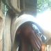 Profile Picture of Scott Rabe (@scott.rabe.520) on Facebook
