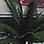 Profile Picture of RALPH WATKINS (@rews1960) on Flickr