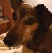 Profile Picture of Markus Stipp (@markus.stipp.33) on Facebook